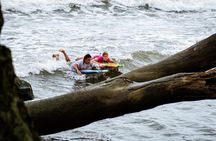 Big Island Surf Lesson from Hilo