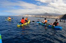 Guided Kayak Tour From Los Cristianos Beach Tenerife