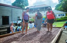 Half Day Tour - Popular Sites in Grenada, Forest Reserve,Spice Market,Waterfalls