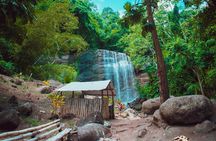 Half Day Tour - Popular Sites in Grenada, Forest Reserve,Spice Market,Waterfalls