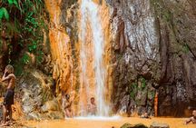 Half Day Tour - Popular Sites in Grenada, Forest Reserve,Spice Market,Waterfalls