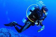 Discover Scuba Diving In Dahab