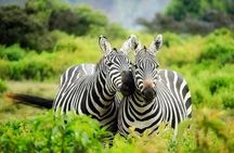 Full day private tour to Hells Gate National park from Nairobi.