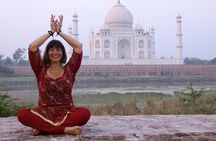 Skip the Line Taj Mahal Agra Fort Private Tour