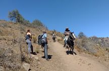 Viewpoint of Condors Cajón del Maipo