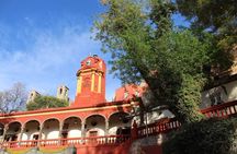 San Miguel de Allende city tour