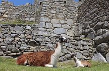 2-Day Tour at Sacred Valley and Machu Picchu by Train 