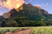 Private Day Trip Hike and Boat in Moorea