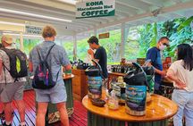 Oahu Island Experience feat the North Shore (Small Group Tour)