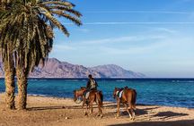 Horse Riding in Dahab