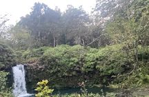 Hana Private Road Tour up to13 passengers