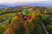 Exclusive Tour of the Vineyards with Visit to the Cellar!