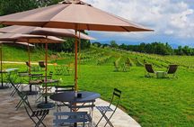 Unconventional Prosecco Tasting with Stunning View on Vineyards