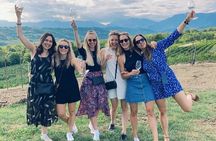 Exclusive Tour of the Vineyards with Visit to the Cellar!