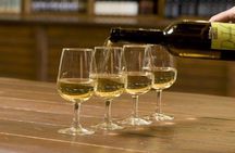 Full-Day Wine Tasting Tour in Athens with Visit to Cape Sounio