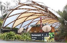 Rotorua to Auckland Afternoon Transfer with Waitomo Glow Worms