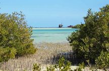 Nabq National Park Day Tour from Dahab