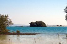 Nabq National Park Day Tour from Dahab