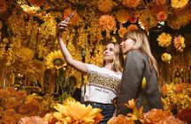 Bangkok City Tour By Selfie Expert : Famous Temples & Attractions
