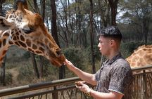 Half-Day Nairobi National Park and Maasai Market with Pick up