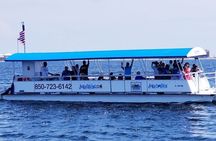 Pensacola Beach Jolly Dolphin Cruise and Scenic Bay Tour