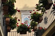 4 Hours Private Tour of Tangier & Camel Ride & Colorful Markets 