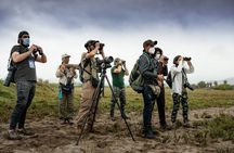 Half-Day Private Birdwatching Tour in Lima