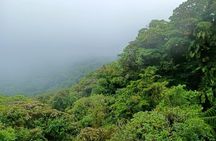 Private Guided Walk to the Santa Elena Cloud Forest Reserve