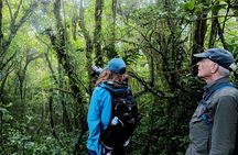 Private Guided Walk to the Santa Elena Cloud Forest Reserve