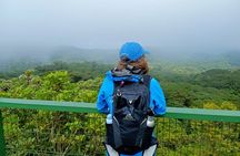 Private Guided Walk to the Santa Elena Cloud Forest Reserve