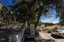 Half-Day Tour to Valle de Angeles from Tegucigalpa, Honduras