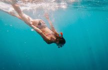 Luxury Snorkeling Tour in Cabo San Lucas