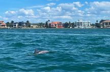Private 2-Hour Dolphin Watching Cruise in St. Petersburg, FL