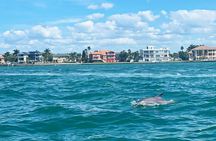 Private 2-Hour Dolphin Watching Cruise in St. Petersburg, FL