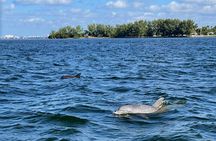 Private 2-Hour Dolphin Watching Cruise in St. Petersburg, FL