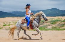 Private Horseback Riding in Cabo San Lucas