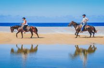 Private Horseback Riding in Cabo San Lucas