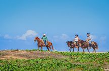 Private Horseback Riding in Cabo San Lucas