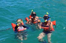 Luxury Snorkel Tour in Sailing Catamaran