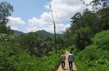 Private Traditional Sri Lankan Village Food Trail 