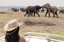 Victoria Falls Rhino Encounter Game Drive!