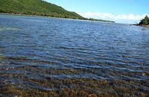Private southwest of Mauritius: Barbecue Lunch at Îlot Fourneau