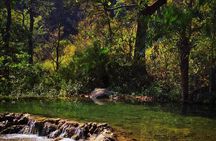 Moderate Himalayan Treks Near Rishikesh From Delhi