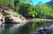 Hiking the Black River Gorges: Full-day with Lunch and Transfer