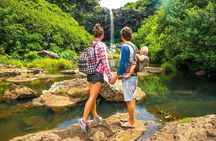 Hiking the Black River Gorges: Full-day with Lunch and Transfer