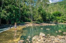 Hiking the Black River Gorges: Full-day with Lunch and Transfer