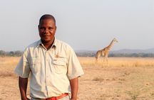 Guided Safari tour, lodging & meals, S. Luangwa National Park by Landcruiser 4x4