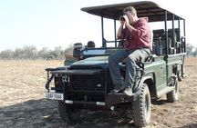 Guided Safari tour, lodging & meals, S. Luangwa National Park by Landcruiser 4x4