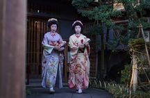 Niigata Full-Day Private Tour with Government-Licensed Guide
