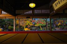 Port Pick-Up: Niigata Private Tour Licensed Guide＆ Vehicle